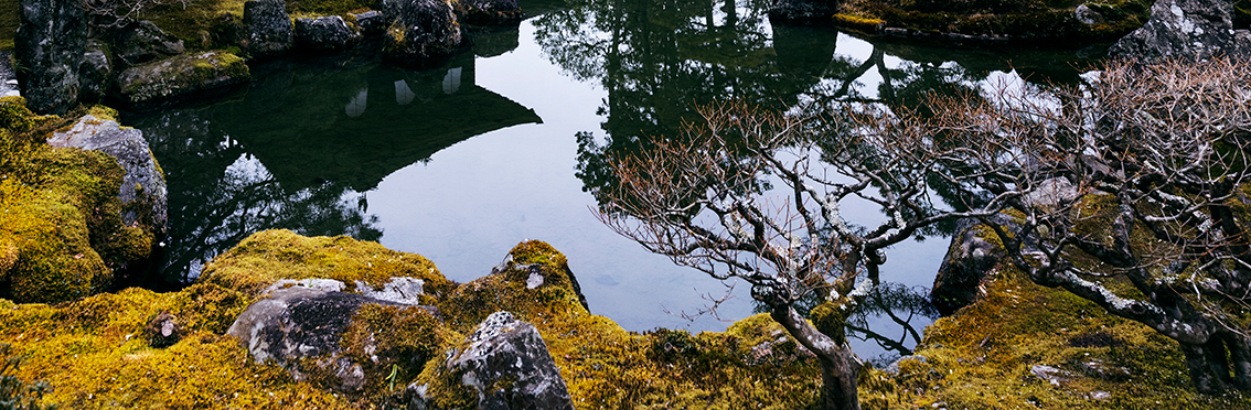 Japanischer Garten